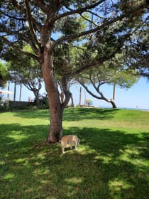 Explore the tranquil Jardim São Pedro Do Mar