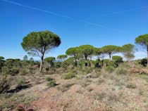 Explore the Plaine des Maures