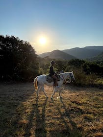 Be taken for a ride at Ranch la Mène