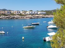 Explore Punta des Trencs