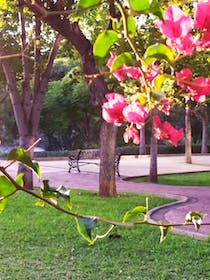 Explore San Alvaro Park