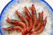 Try the shrimp at El Campanario