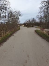 Go for a walk in the beautiful danish nature at Amager