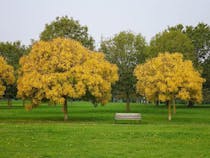 Explore Parco San Giuliano