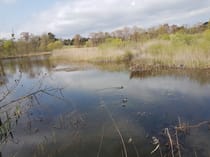 Explore Font Merle's beautiful pond