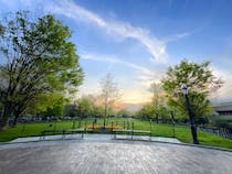 Take a Moment to Relax at Brower Park