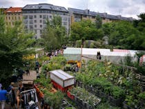 Learn about urban gardening at Prinzessinnengärten