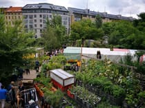 Learn about urban gardening at Prinzessinnengärten