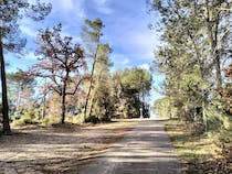 Cycle through La Vigne à Vélo