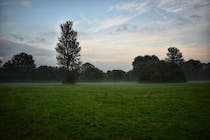 Explore the natural beauty of Cannon Hill Common