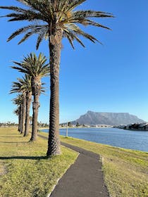 Enjoy walks in the Table Bay Nature Reserve