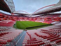 Watch a football match at Estadio da Luz