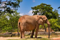 Spend the day at Zoo Miami