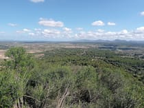 Enjoy the Views at Puig de Bonany