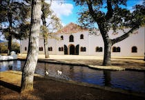 Explore the rich history and delicious wines at Groot Constantia