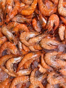 Feast on seafood at Adega Do Papagaio