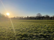 Unwind with a stroll across Petersham Meadows