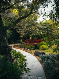 Discover Miami Beach Botanical Garden