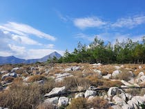 Explore the scenic Forest Keri