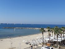 Embrace local culture at Hilton Beach