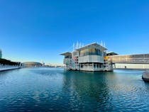 Visit the Lisbon Oceanarium 