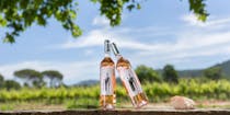 Experience the charm of Domaine de Jale