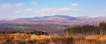 Explore the stunning Grizedale Forest