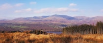 Explore the stunning Grizedale Forest