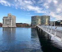 See Brygge Bridge, an architectural wonder