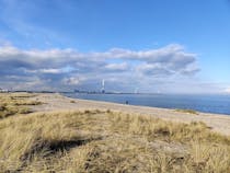 Spend an afternoon at Amager Beach Park