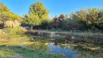 Enjoy the peaceful L'Etang des Loisirs