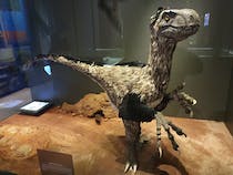 Explore the fascinating Muséum Départemental du Var