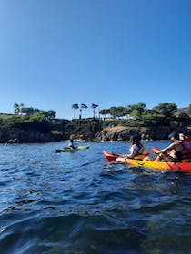 Paddle through the stunning coastal landscape with Pep's Spirit