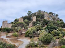 Explore the scenic Chateau d'Hyères