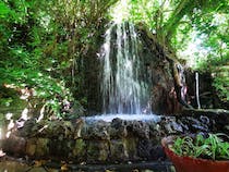 Explore the Silver City Waterfalls