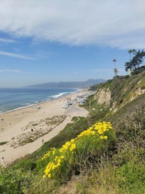 Spend the afternoon at Point Dume