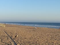 Surf at Zuma Beach