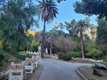 Go for a walk in Wattles Garden Park