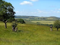 Discover Dunstable Downs & Whipsnade Estate