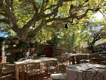 Dine in the tree-shaded courtyard at Le Clos des Arômes