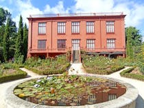 House of a writer and exotic plants