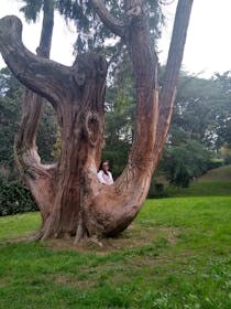 Have a picnic in Giardino del Bobolino