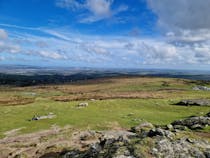 Explore the Exuberant Beauty of Dartmoor National Park