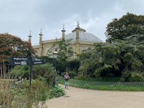 Explore the Riches of Brighton Museum & Art Gallery