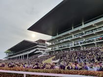 Experience the Thrills at Cheltenham Racecourse