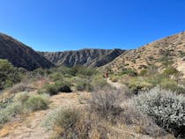 Explore the Scenic Trails at Big Morongo Canyon Preserve