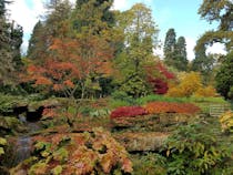 Explore Batsford Arboretum and Garden Centre