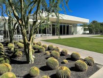 Explore the Midcentury-Modern Splendor of Sunnylands