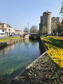 Go for a long walk in beautiful Westgate Gardens