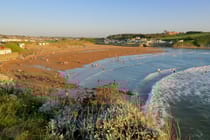 Bude
